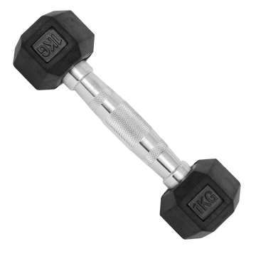 Halteres Dumbbell Sextavado Emborrachados Envolst