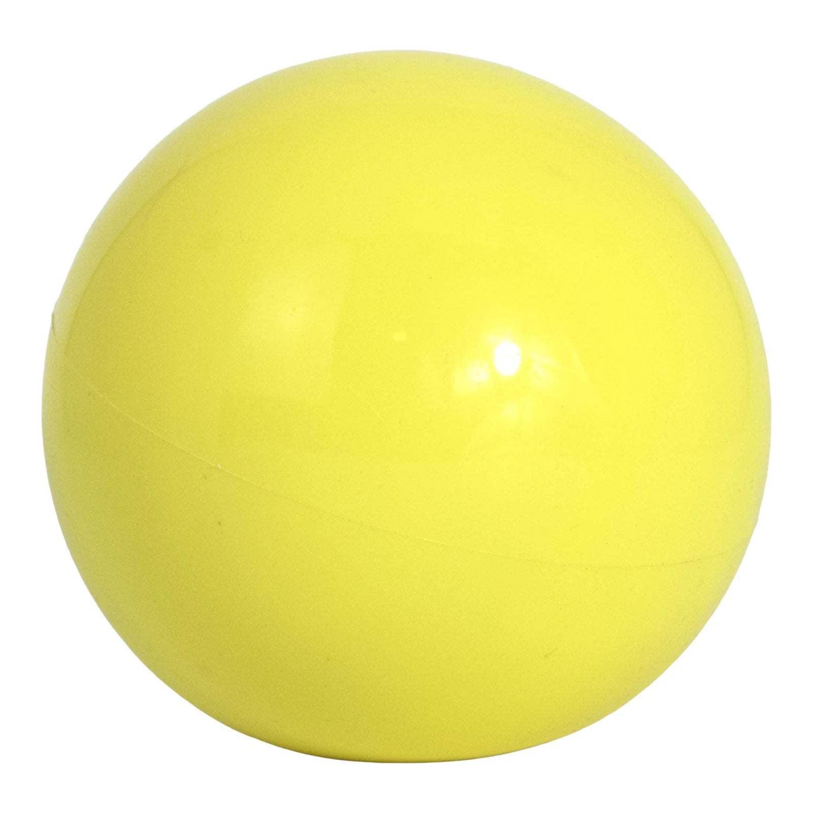 Toning Ball 0,5kg Envolst